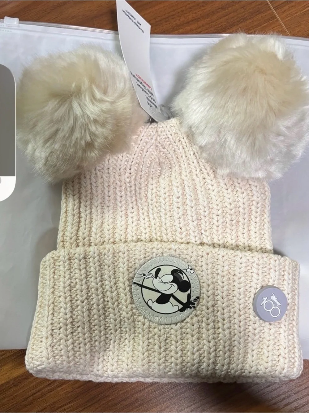 Love Your Melon Minnie Mouse Beanie Disney 100